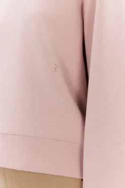 Alba rose