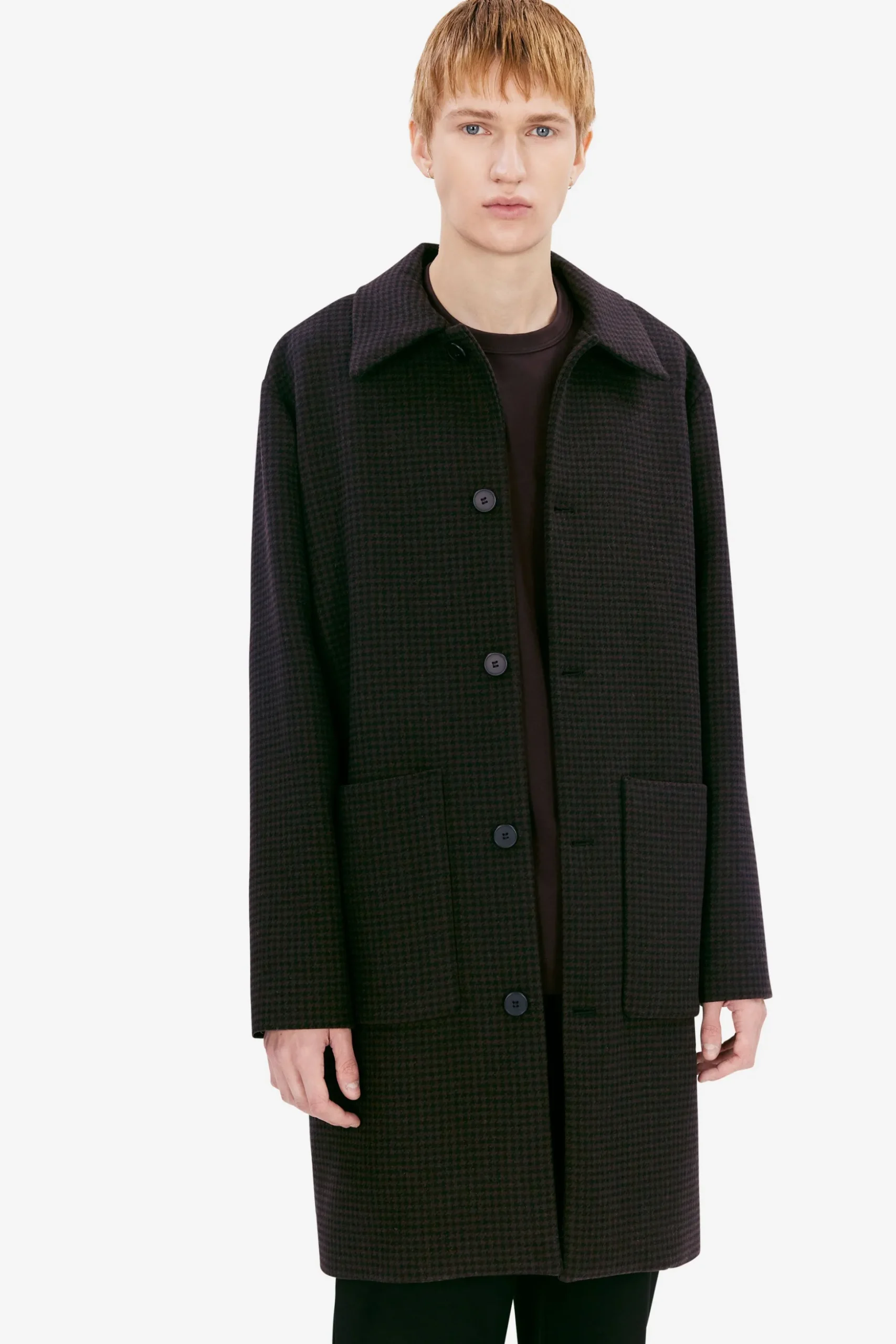Albert brown dogtooth