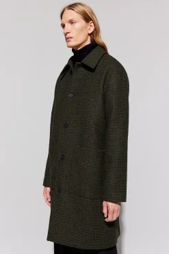 Albert green check