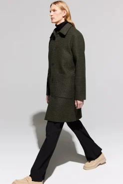 Albert green check