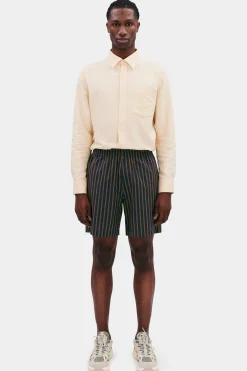 Ryan Shorts dk navy stripe
